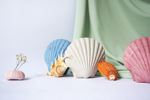 New Product - Shell Object
